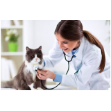 agendamento de exame de sangue em gatos Campinas