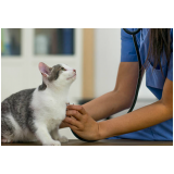 agendamento de exames laboratoriais veterinários Campinas