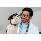 check-up veterinário em cachorro Jardim García