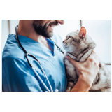check-up veterinário para gatos Vila Itapura