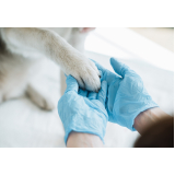 clínica veterinária para pets valor Nova Campinas