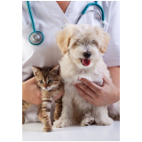 consulta veterinária para animais domésticos Guanabara