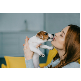 pet shop para cães preço Jardim Nova Europa