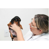 orçamento de vacina para cachorro contra leishmaniose Parque Santa Bárbara