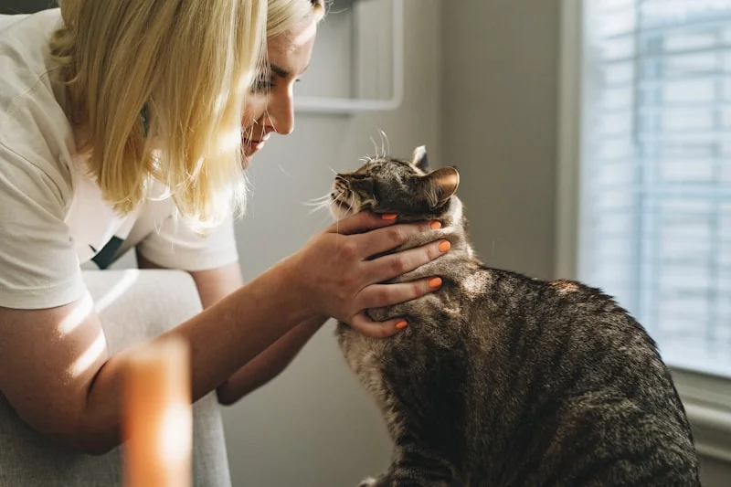 Acompanhamento Endocrinológico Veterinário em Campinas - Clínica Bicho de Estimação Jardim Chapadão